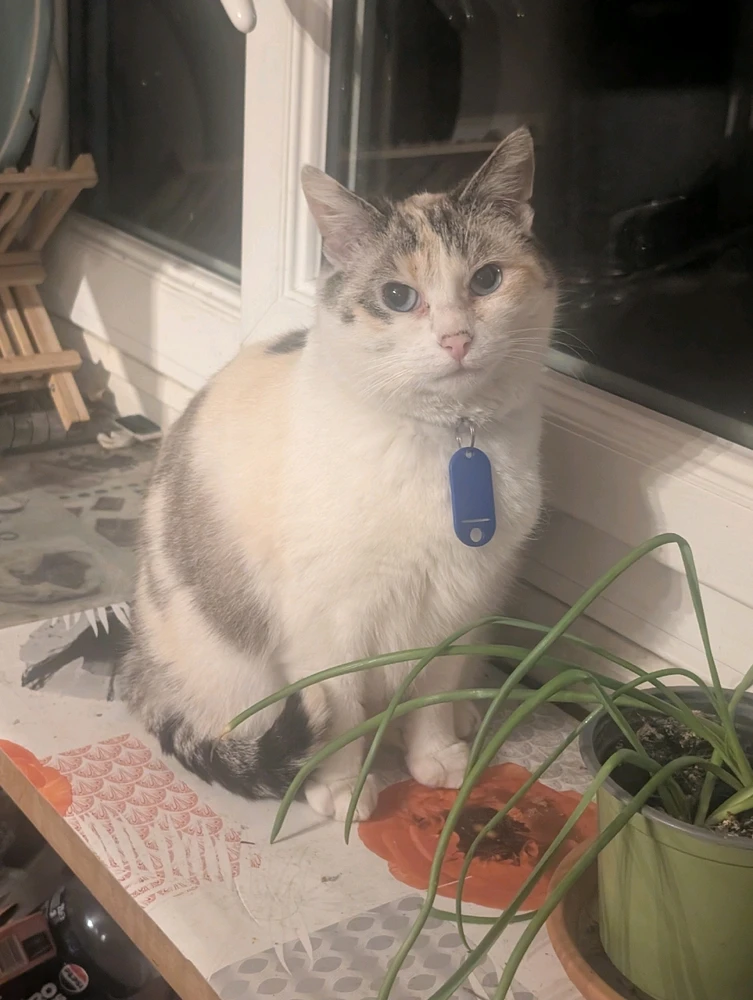 GIF ajouté par Lily