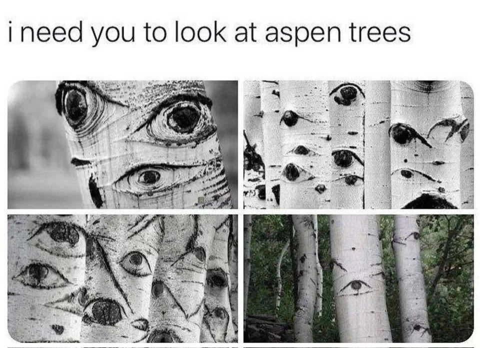 GIF uploaded by 🌙✨ℳℯ𝓁𝒶𝓃𝒾𝓆𝓊ℯ✨🌙