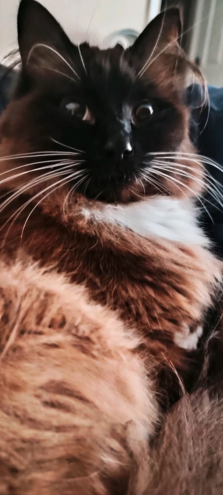 Image uploaded by Andy