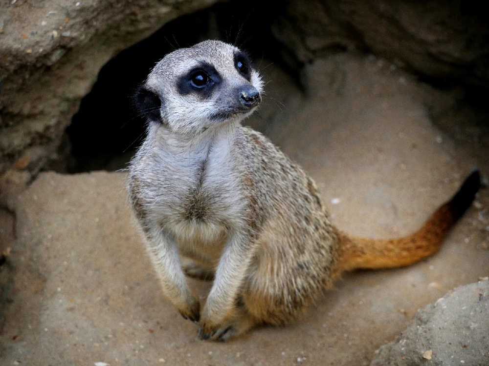 GIF ajouté par Playerone76