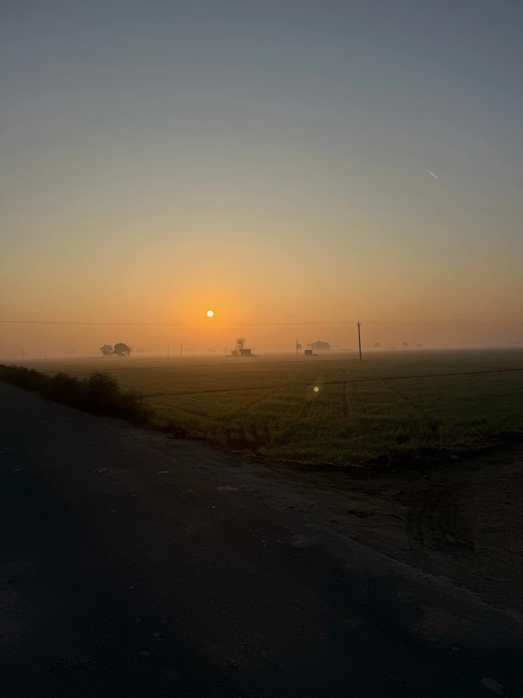 GIF uploaded by Gurman