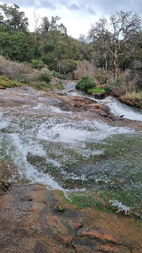 Image uploaded by Jacob lottler