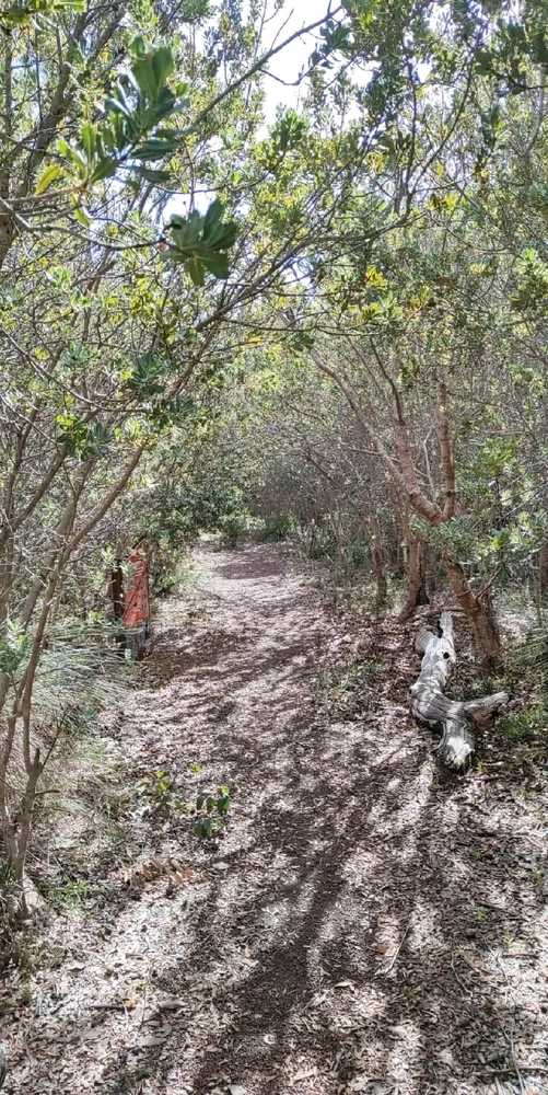 Image uploaded by Jacob lottler