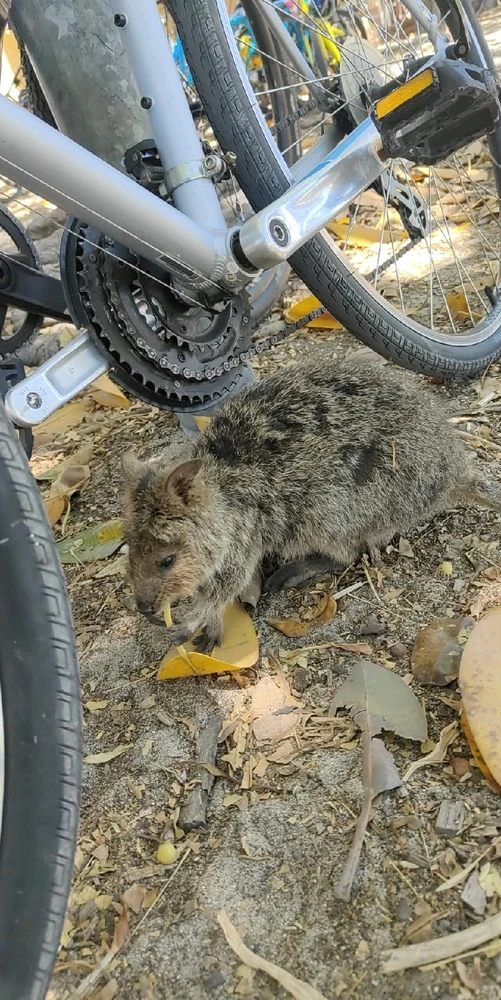 Image uploaded by Jacob lottler