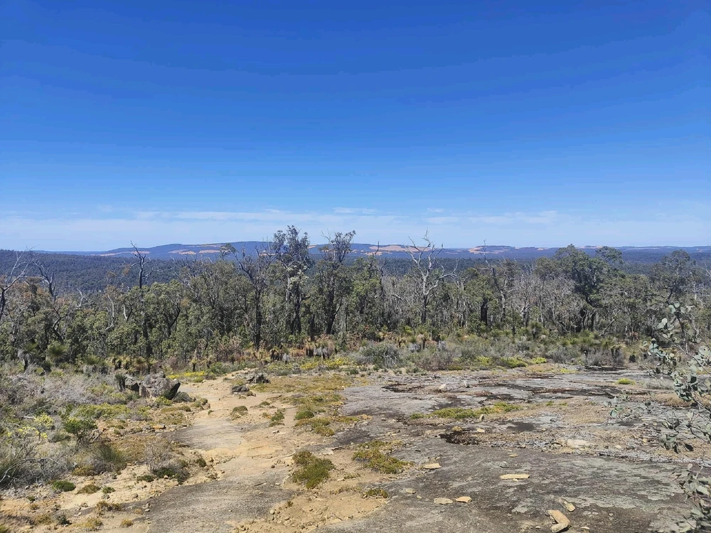 Image uploaded by Jacob lottler