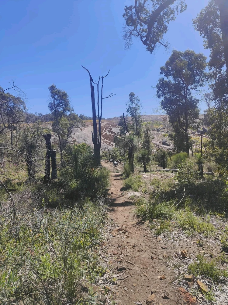 Image uploaded by Jacob lottler