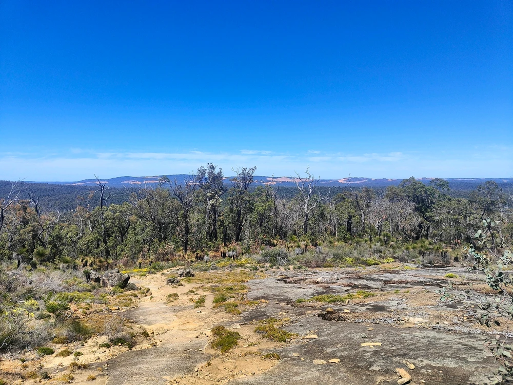 Image uploaded by Jacob lottler