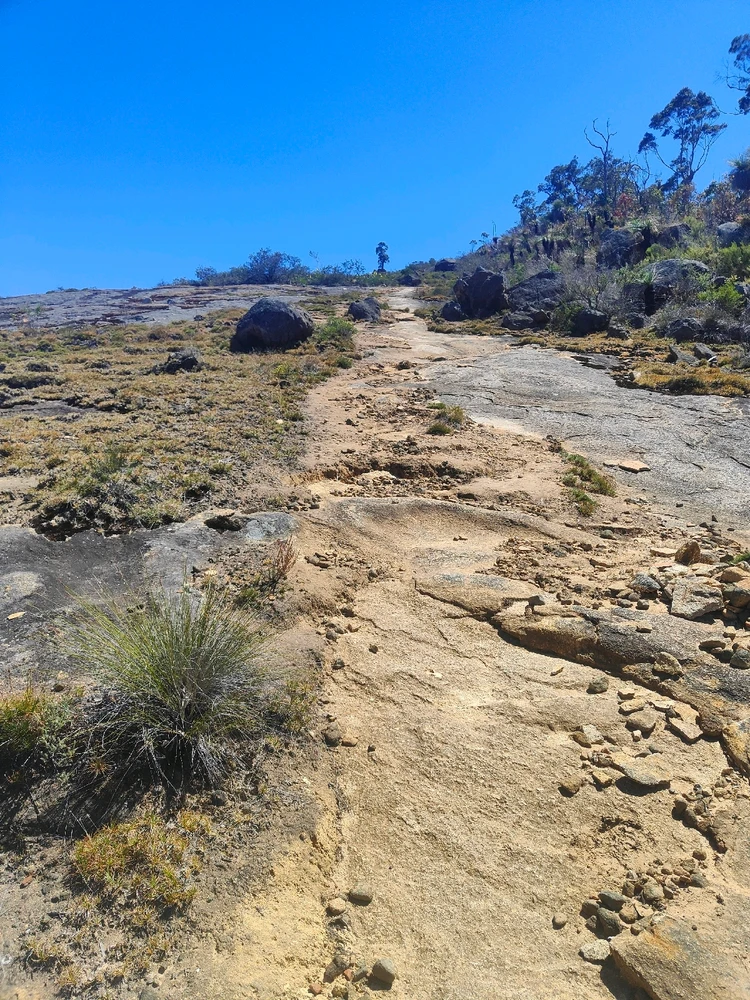 Image uploaded by Jacob lottler