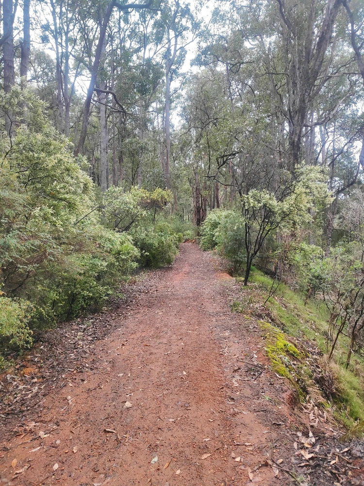 Image uploaded by Jacob lottler