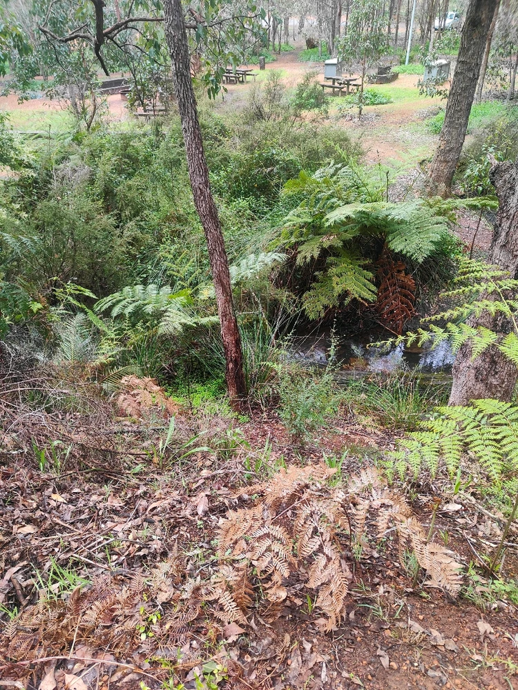 Image uploaded by Jacob lottler