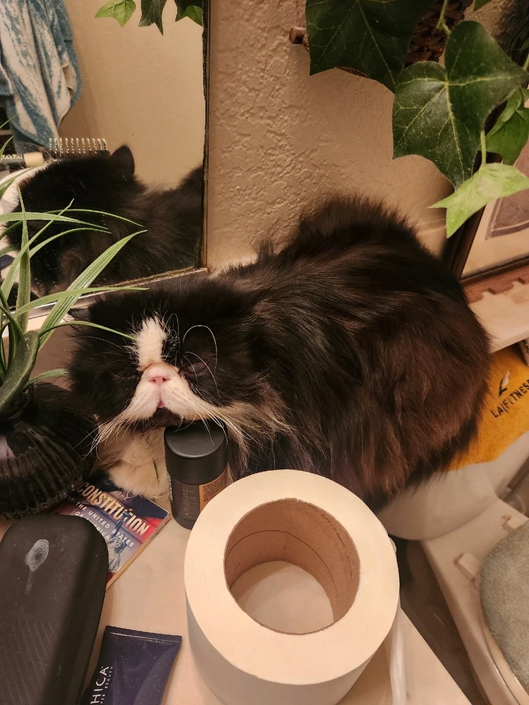 GIF uploaded by Beso