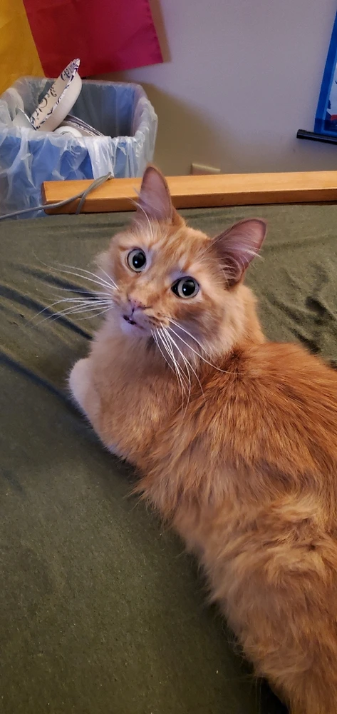 GIF uploaded by Lauren