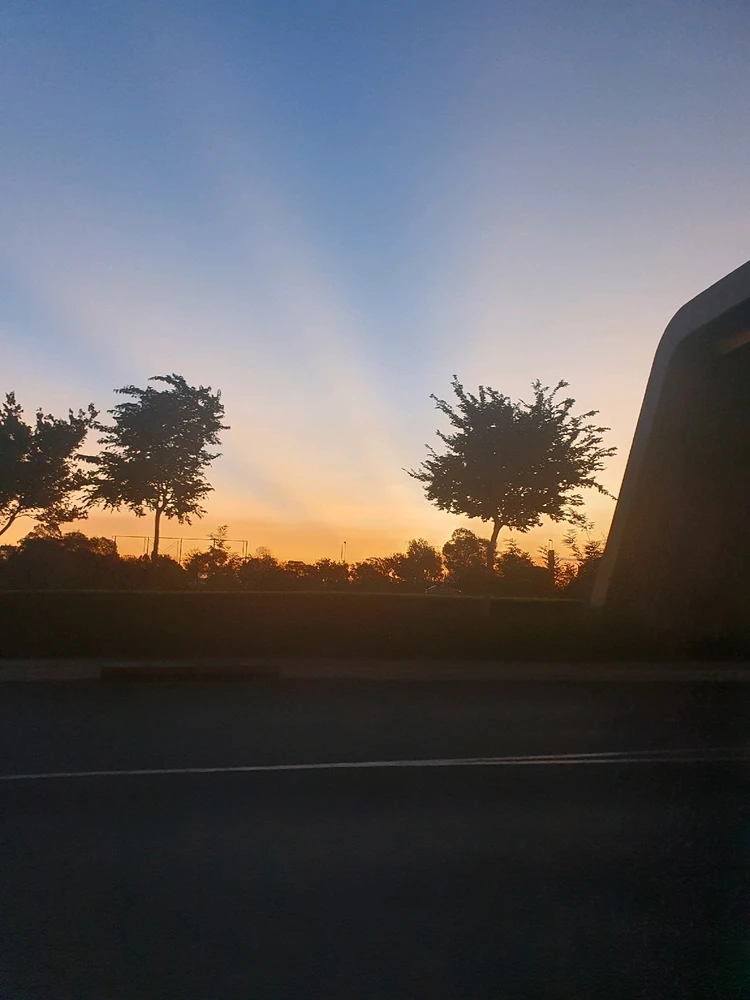 Image uploaded by Marna