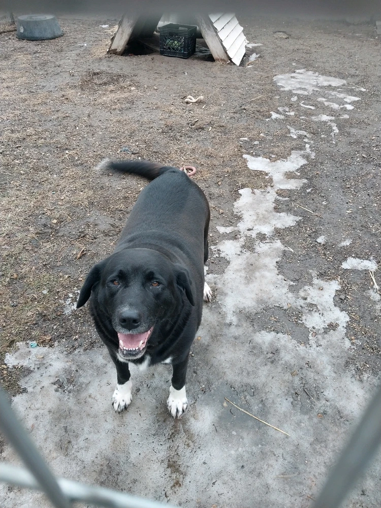 Image uploaded by Ty