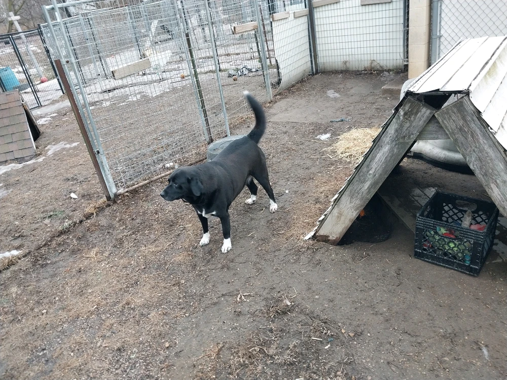 Image uploaded by Ty