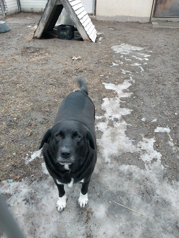 Image uploaded by Ty