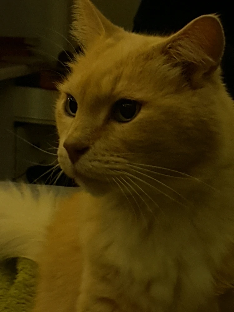 GIF uploaded by Marna