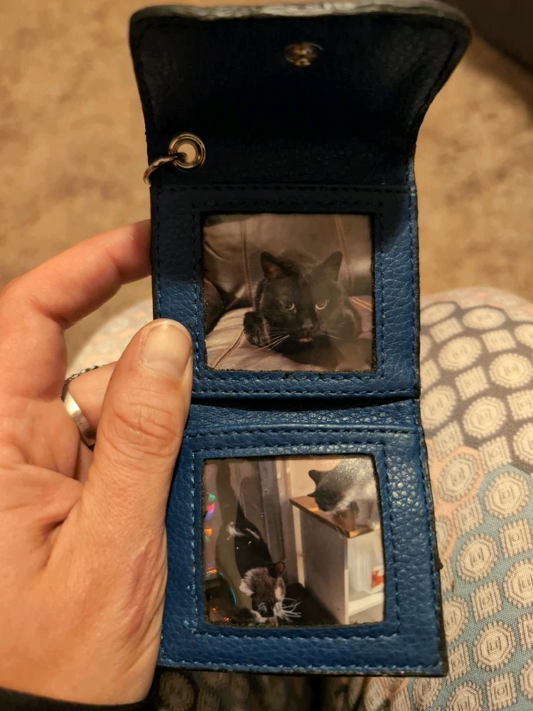 GIF uploaded by Steph