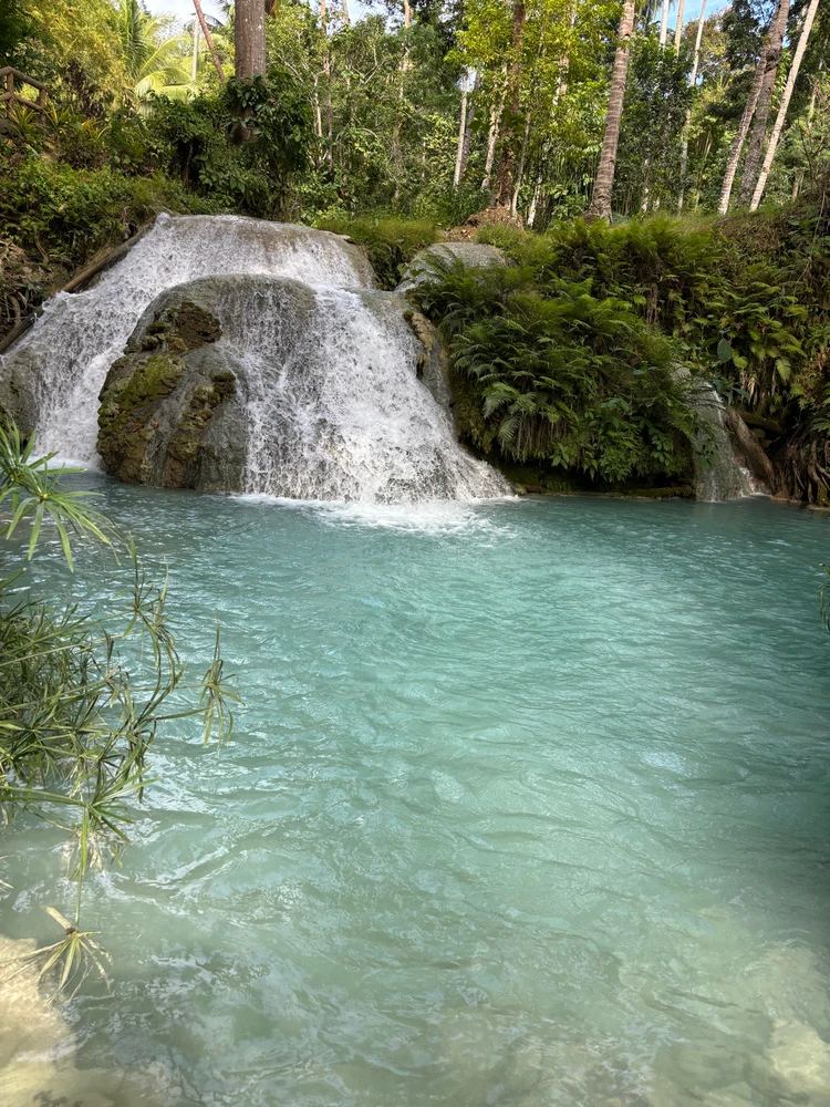 Image uploaded by Elle