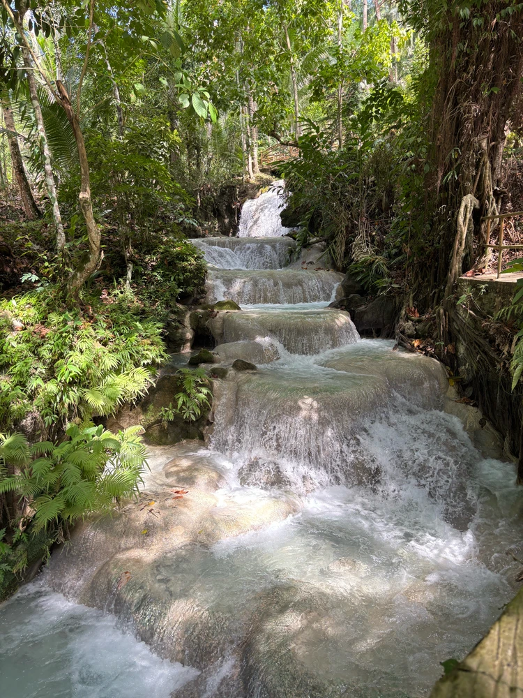 Image uploaded by Elle