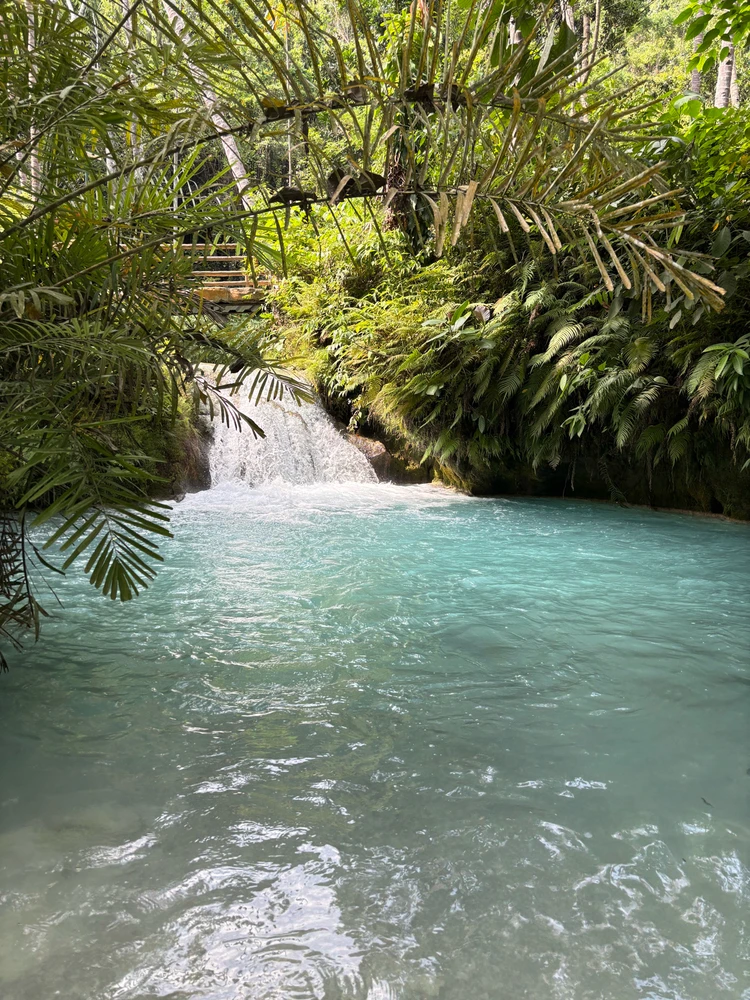 Image uploaded by Elle