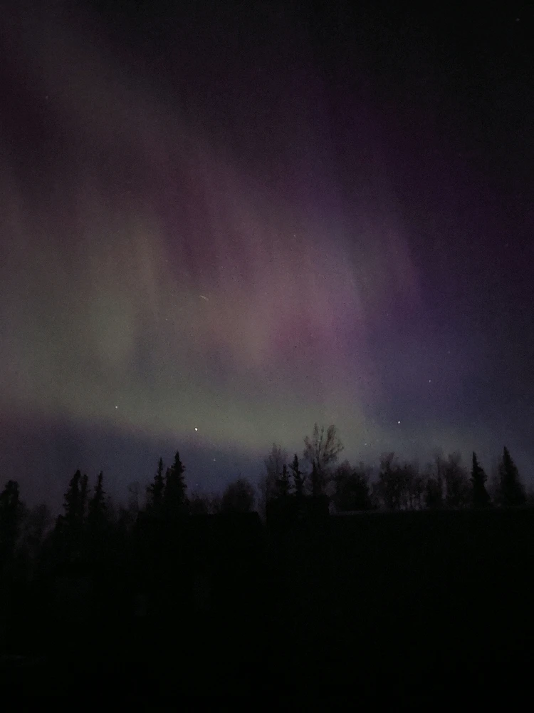 Image uploaded by Marius