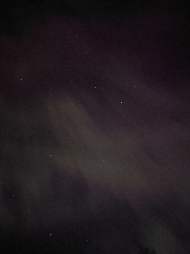 Image uploaded by Marius