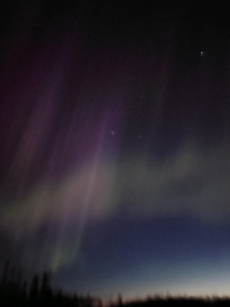 Image uploaded by Marius