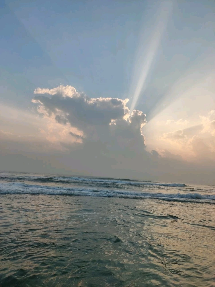 Image uploaded by Pavi