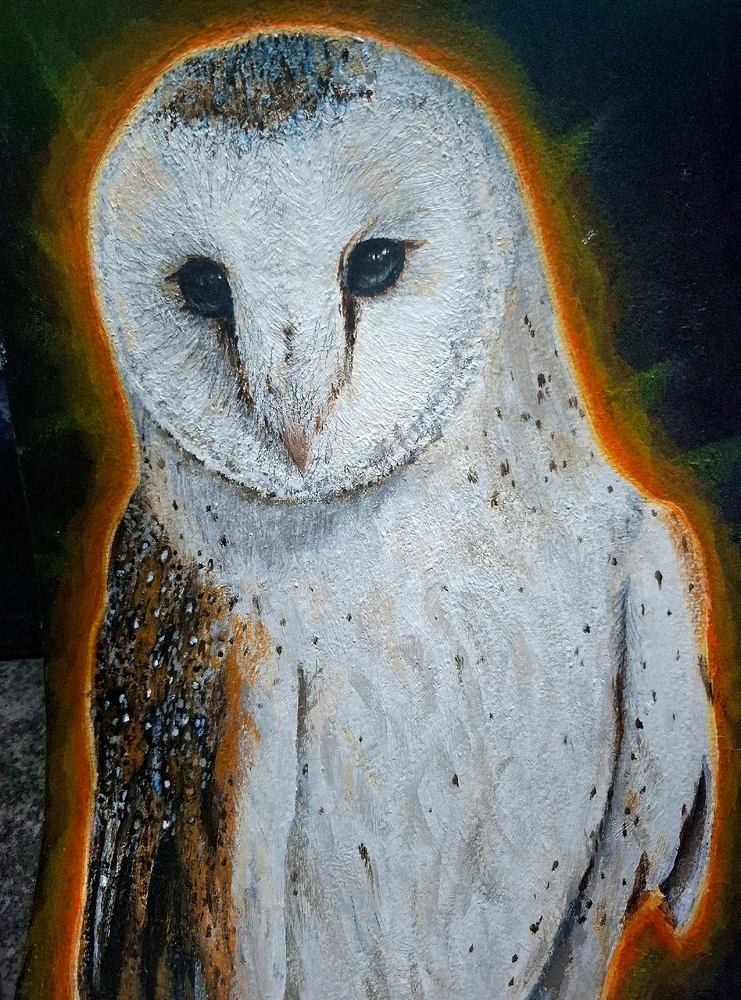 GIF uploaded by • Bill •