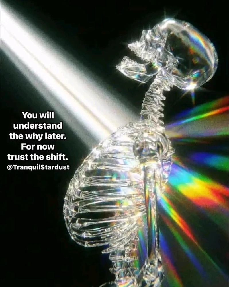 GIF uploaded by ❤ Sophia aka Mango Mami ❤️