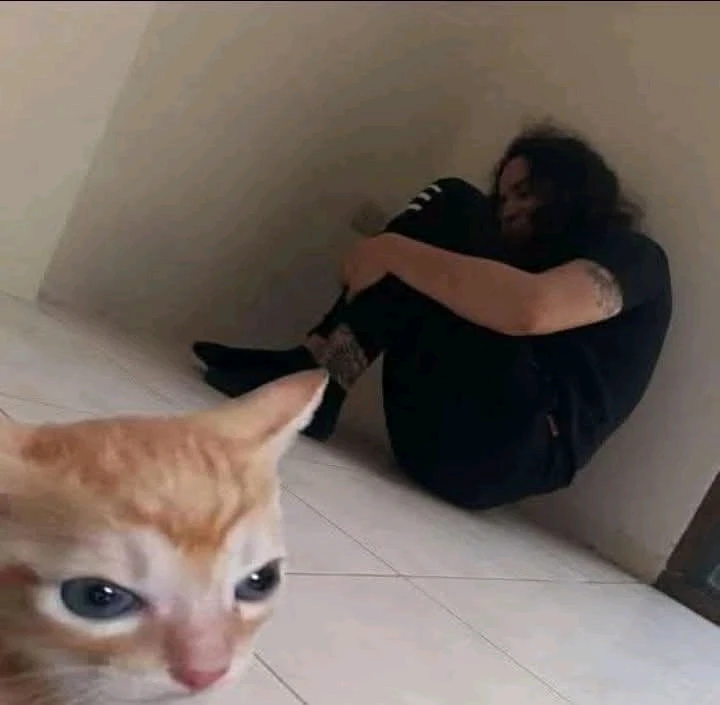 GIF subido por Gerardo