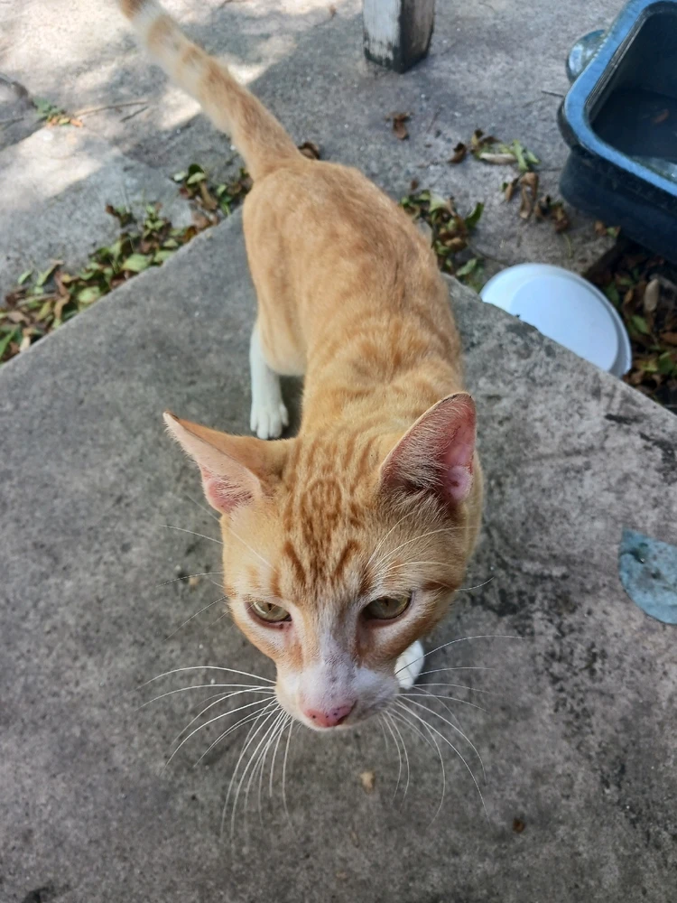 GIF uploaded by Jose Galindo