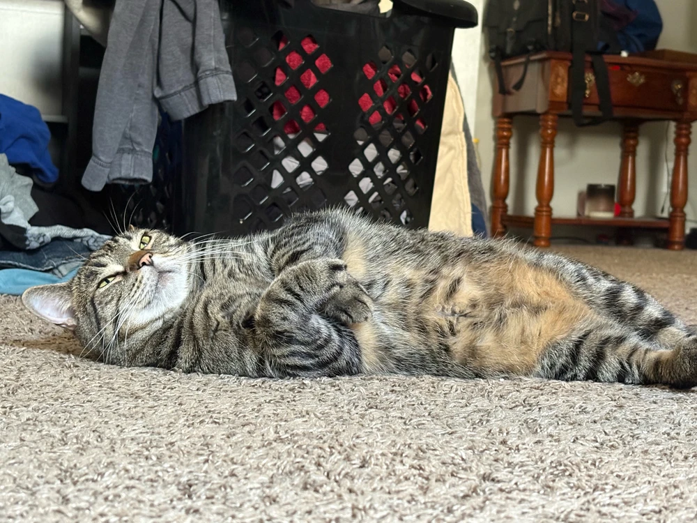 GIF uploaded by Stephen