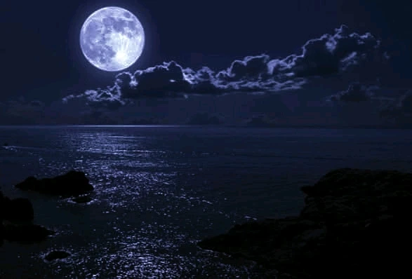 Image uploaded by Ina