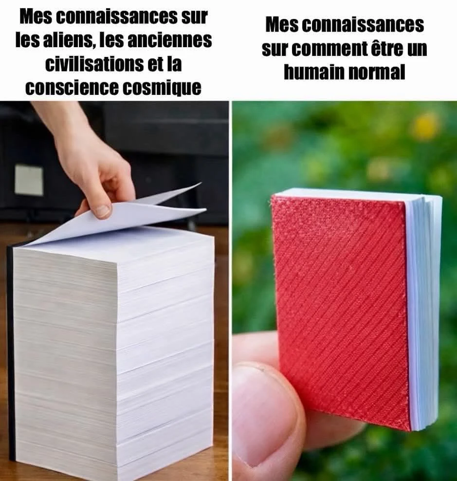 GIF ajouté par Maxine