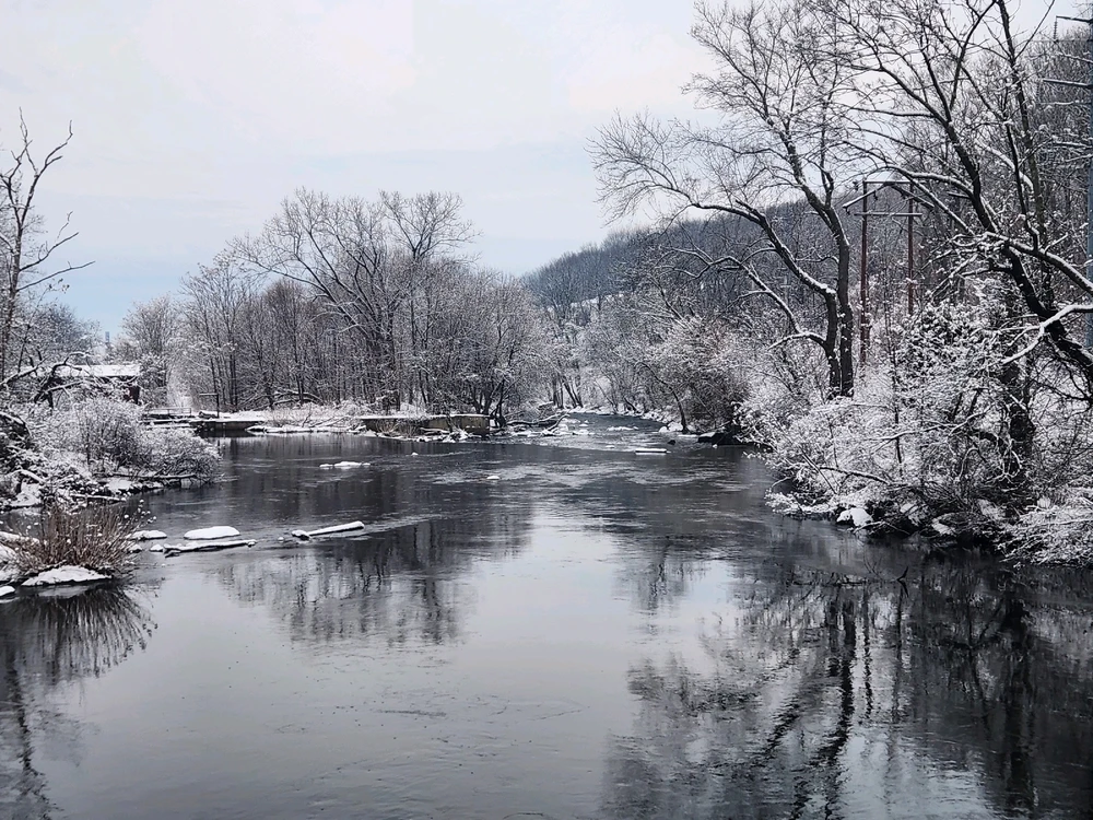 Image uploaded by Samantha