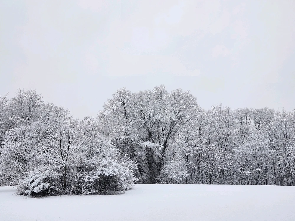 Image uploaded by Samantha