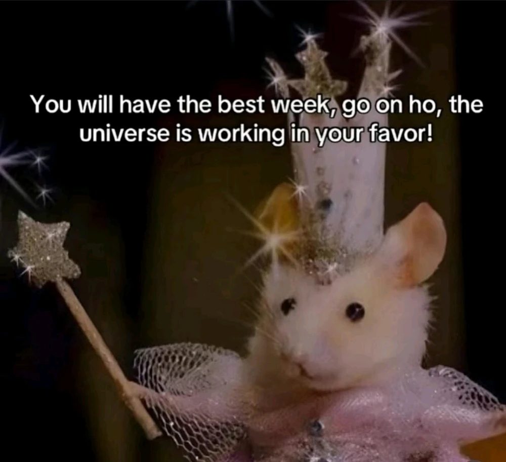 GIF uploaded by 𑁍┊Dani