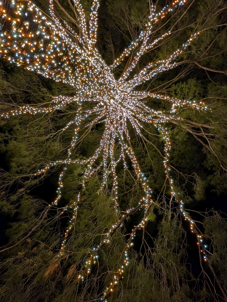 GIF uploaded by Aiden