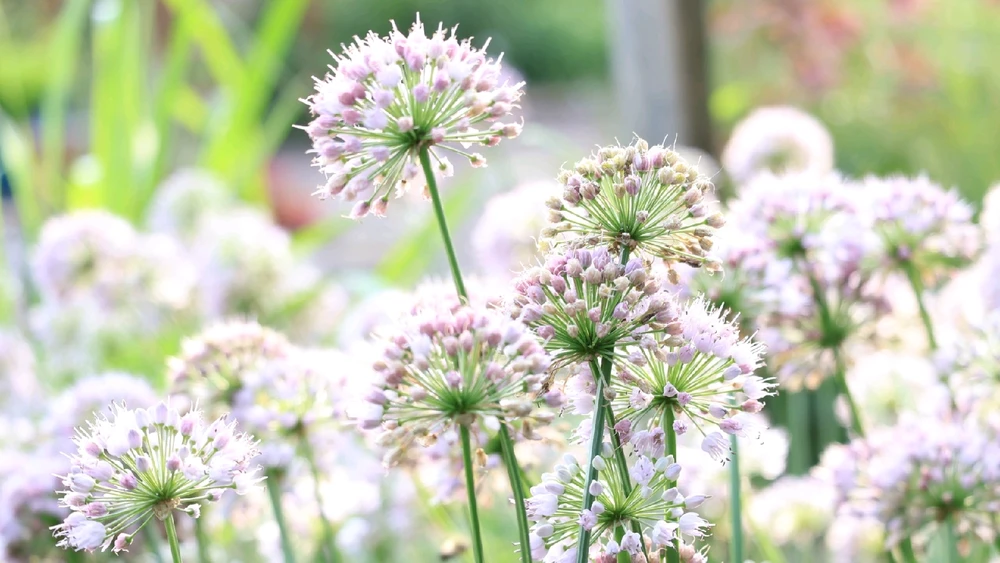 GIF uploaded by Rick