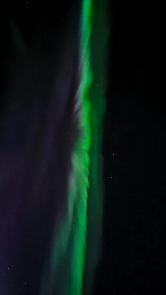 Image uploaded by Remi