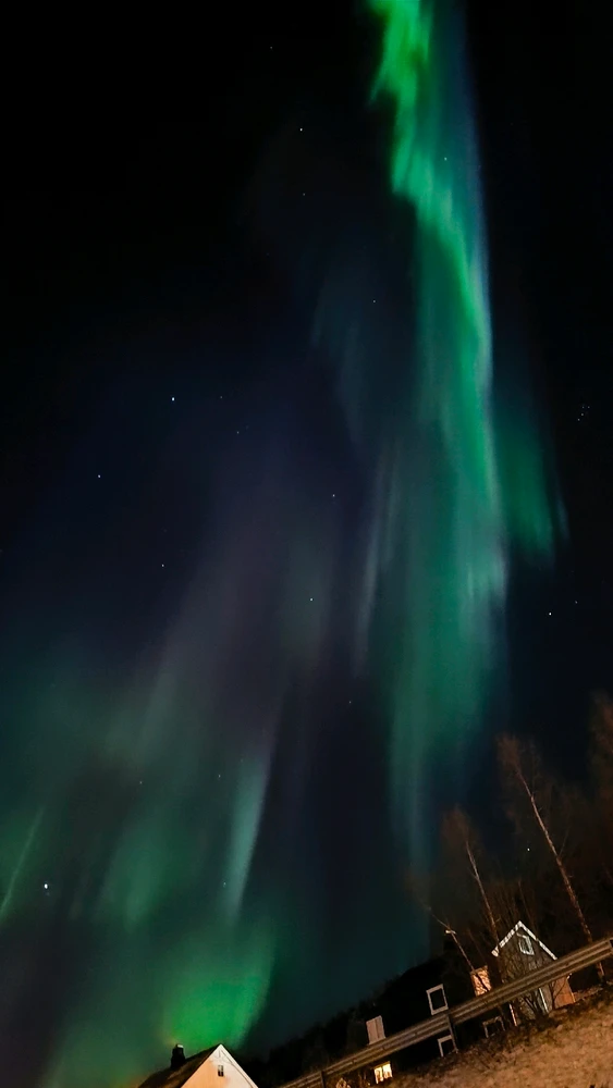 Image uploaded by Remi