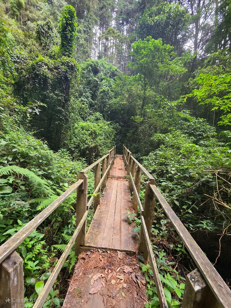 GIF subido por Karina