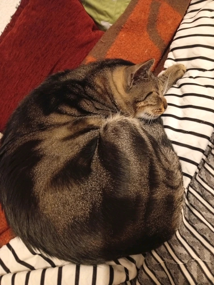 Image uploaded by Lazar