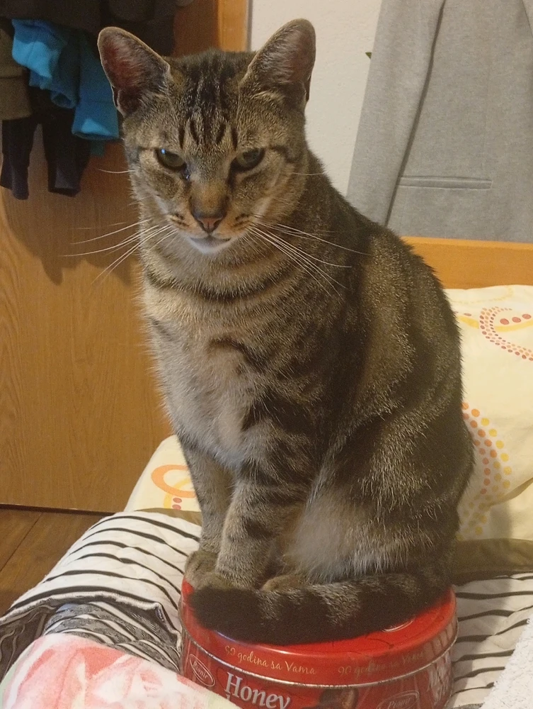 Image uploaded by Lazar