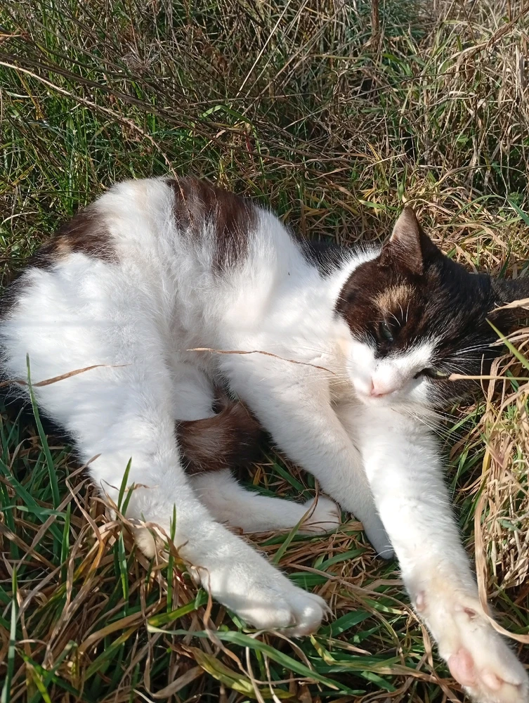 Image uploaded by Lazar