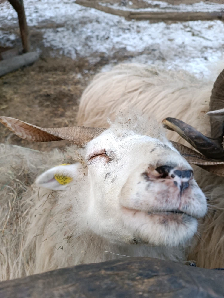 Obrázek nahrál Mája