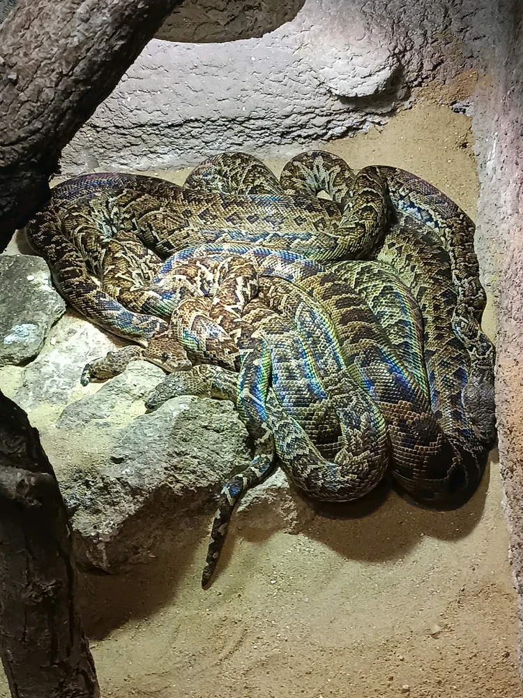 Obrázek nahrál Mája