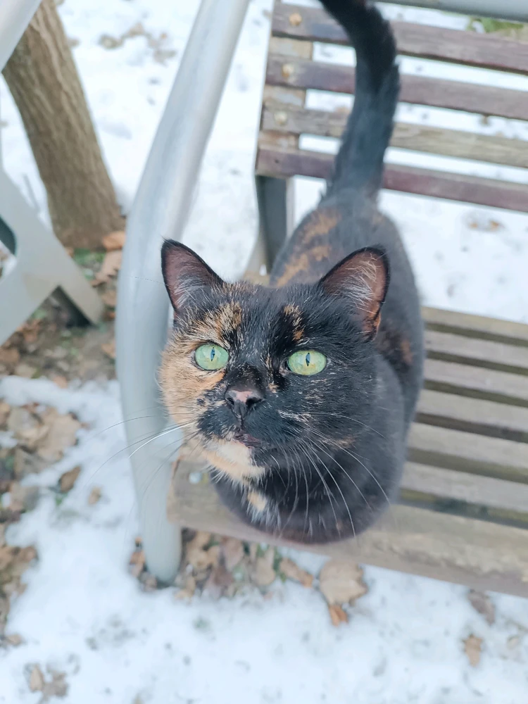 Obrázek nahrál Mája